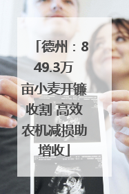 德州：849.3万亩小麦开镰收割 高效农机减损助增收
