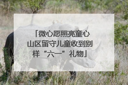 微心愿照亮童心 山区留守儿童收到别样“六一”礼物