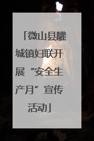 微山县驩城镇妇联开展“安全生产月”宣传活动