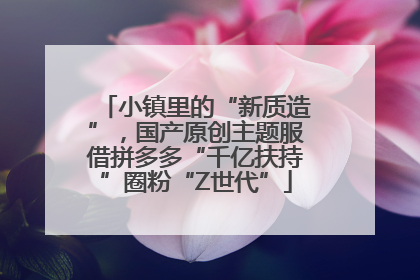 小镇里的“新质造”，国产原创主题服借拼多多“千亿扶持”圈粉“Z世代”