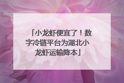 小龙虾便宜了！数字冷链平台为湖北小龙虾运输降本