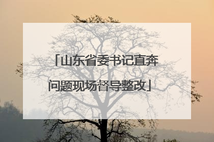 山东省委书记直奔问题现场督导整改