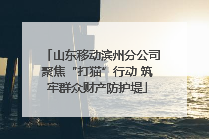 山东移动滨州分公司聚焦“打猫”行动 筑牢群众财产防护堤