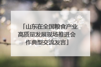 山东在全国粮食产业高质量发展现场推进会作典型交流发言