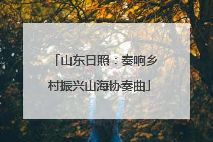 山东日照：奏响乡村振兴山海协奏曲