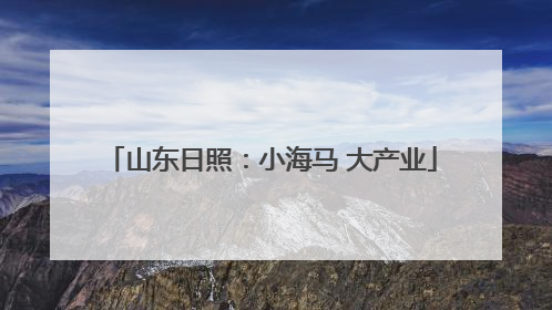 山东日照：小海马 大产业