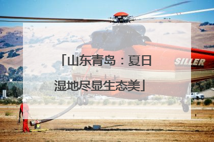 山东青岛：夏日湿地尽显生态美