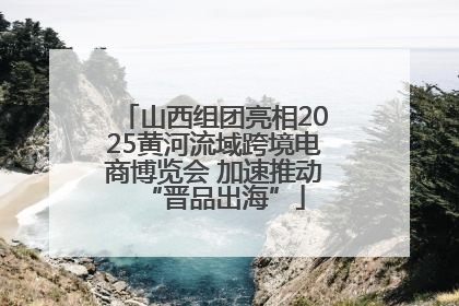 山西组团亮相2025黄河流域跨境电商博览会 加速推动“晋品出海”