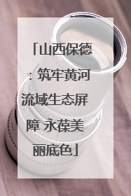 山西保德：筑牢黄河流域生态屏障 永葆美丽底色