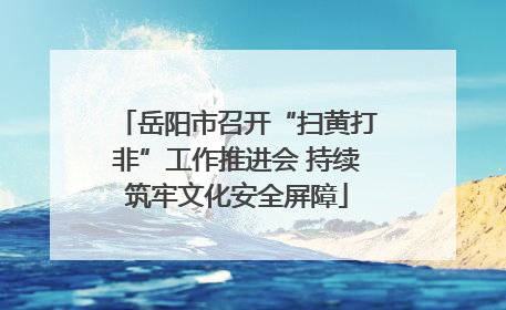 岳阳市召开“扫黄打非”工作推进会 持续筑牢文化安全屏障