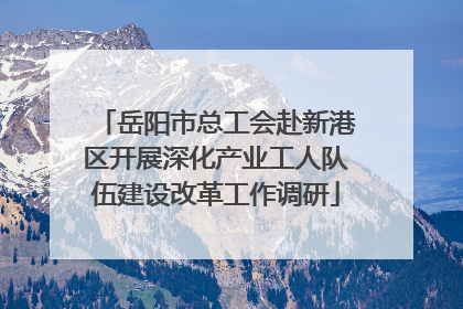岳阳市总工会赴新港区开展深化产业工人队伍建设改革工作调研