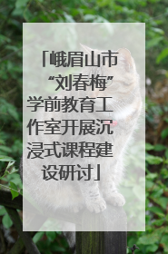 峨眉山市“刘春梅”学前教育工作室开展沉浸式课程建设研讨
