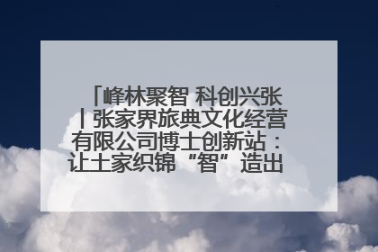 峰林聚智 科创兴张丨张家界旅典文化经营有限公司博士创新站：让土家织锦“智”造出非遗新传奇