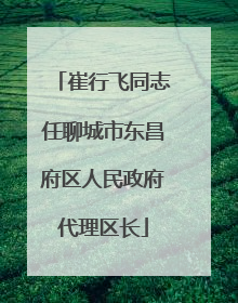 崔行飞同志任聊城市东昌府区人民政府代理区长