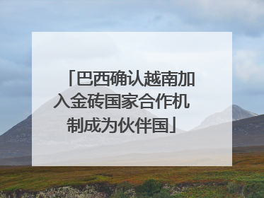 巴西确认越南加入金砖国家合作机制成为伙伴国