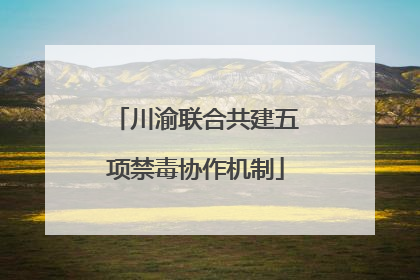 川渝联合共建五项禁毒协作机制