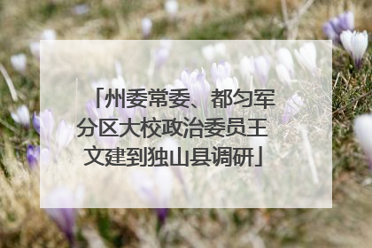 州委常委、都匀军分区大校政治委员王文建到独山县调研