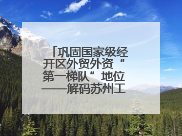 巩固国家级经开区外贸外资“第一梯队”地位——解码苏州工业园区样本