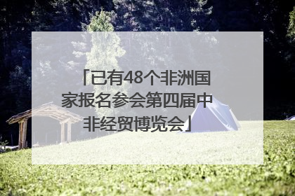 已有48个非洲国家报名参会第四届中非经贸博览会