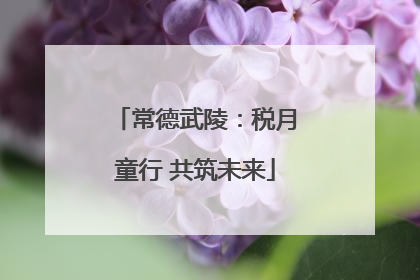 常德武陵：税月童行 共筑未来