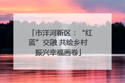市洋河新区：“红蓝”交融 共绘乡村振兴幸福画卷