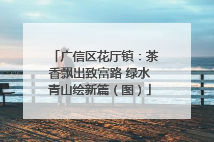 广信区花厅镇：茶香飘出致富路 绿水青山绘新篇（图）