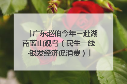 广东赵伯今年三赴湖南蓝山观鸟（民生一线·银发经济促消费）