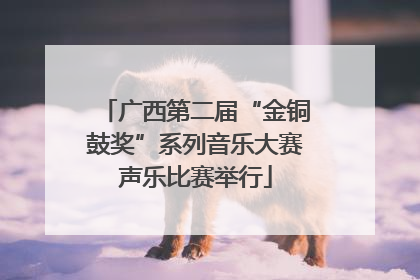 广西第二届“金铜鼓奖”系列音乐大赛声乐比赛举行