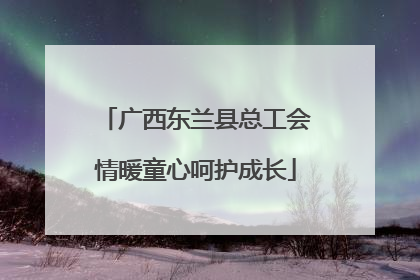 广西东兰县总工会情暖童心呵护成长