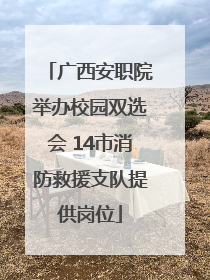 广西安职院举办校园双选会 14市消防救援支队提供岗位