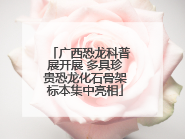 广西恐龙科普展开展 多具珍贵恐龙化石骨架标本集中亮相