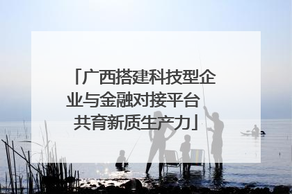 广西搭建科技型企业与金融对接平台 共育新质生产力