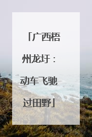 广西梧州龙圩：动车飞驰过田野