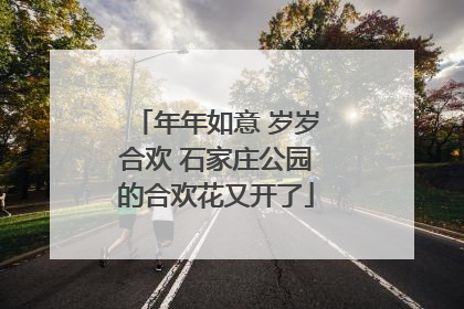 年年如意 岁岁合欢 石家庄公园的合欢花又开了