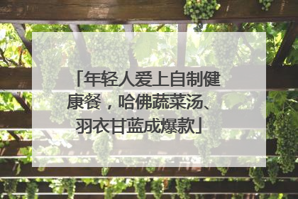 年轻人爱上自制健康餐，哈佛蔬菜汤、羽衣甘蓝成爆款