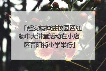 延安精神进校园暨红领巾大讲堂活动在小店区晋阳街小学举行