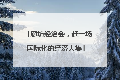 廊坊经洽会，赶一场国际化的经济大集