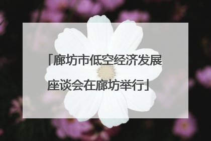 廊坊市低空经济发展座谈会在廊坊举行