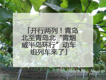 开行两列！青岛北至青岛北“青烟威半岛环行”动车组列车来了