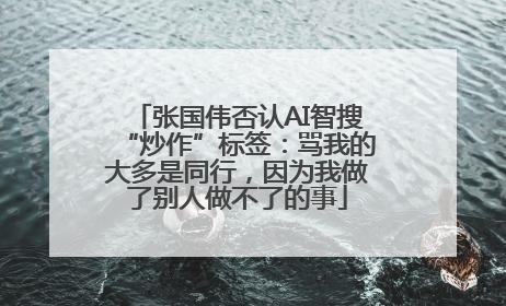 张国伟否认AI智搜“炒作”标签：骂我的大多是同行，因为我做了别人做不了的事