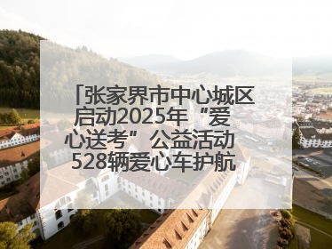 张家界市中心城区启动2025年“爱心送考”公益活动 528辆爱心车护航高考学子