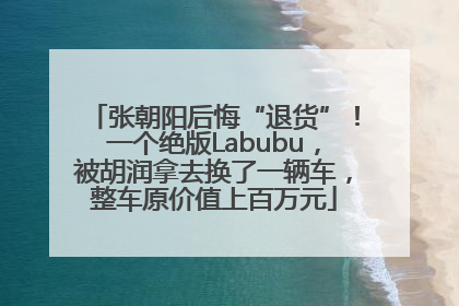张朝阳后悔“退货”！一个绝版Labubu，被胡润拿去换了一辆车，整车原价值上百万元