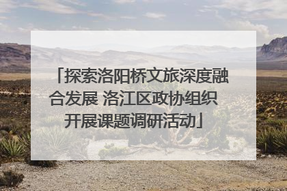 探索洛阳桥文旅深度融合发展 洛江区政协组织开展课题调研活动