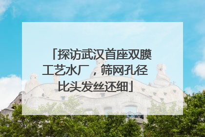 探访武汉首座双膜工艺水厂，筛网孔径比头发丝还细