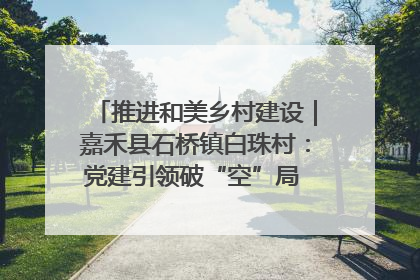 推进和美乡村建设｜嘉禾县石桥镇白珠村：党建引领破“空”局 乡贤聚力绘就新图景