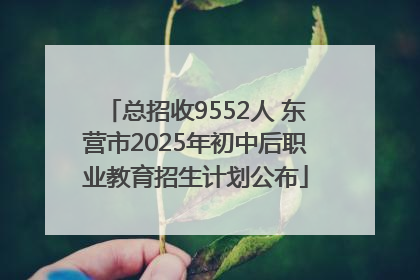 总招收9552人 东营市2025年初中后职业教育招生计划公布