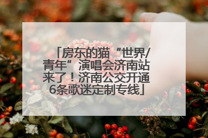 房东的猫“世界/青年”演唱会济南站来了！济南公交开通6条歌迷定制专线