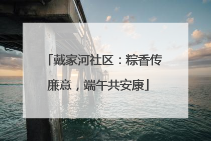 戴家河社区：粽香传廉意，端午共安康