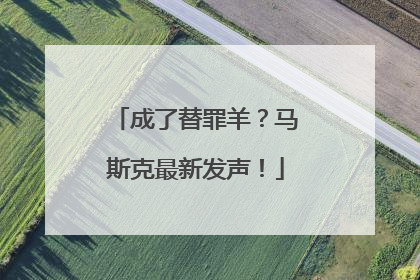 成了替罪羊？马斯克最新发声！