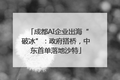 成都AI企业出海“破冰”：政府搭桥，中东首单落地沙特